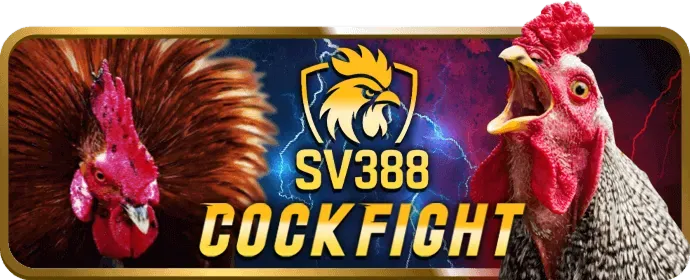 Chương Trình VIP Z8bet Casino